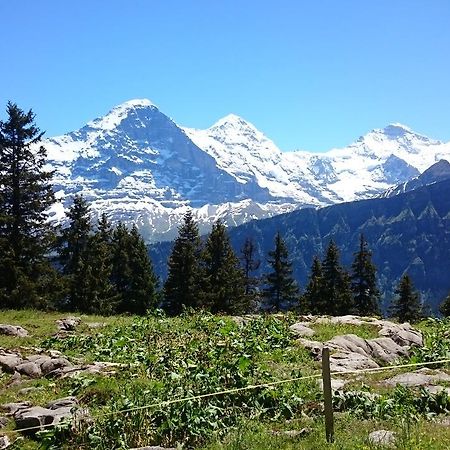 Berghaus Hintisberg Hotel Lütschenthal Eksteriør billede